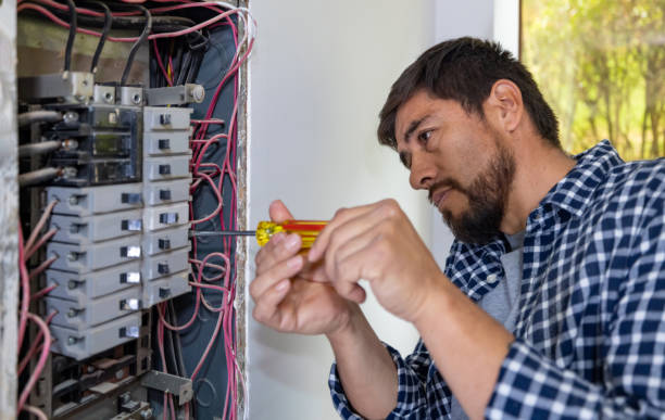 Best Ceiling Fan Installation Electrician  in Port Hueneme, CA